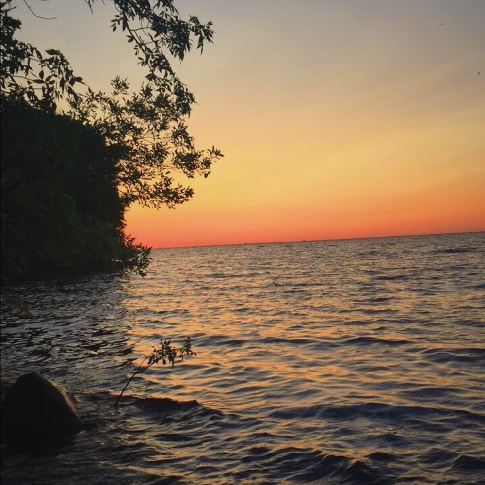 Meet your Posher, Izzy